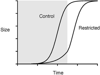 Forest Productivity Enhancement and Compensatory Growth: A Review and Synthesis